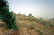 Serra de Pico de Antonia